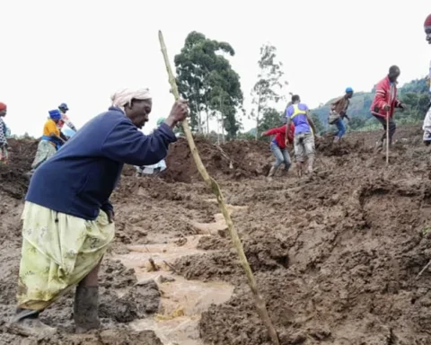 Jean Watala/AP